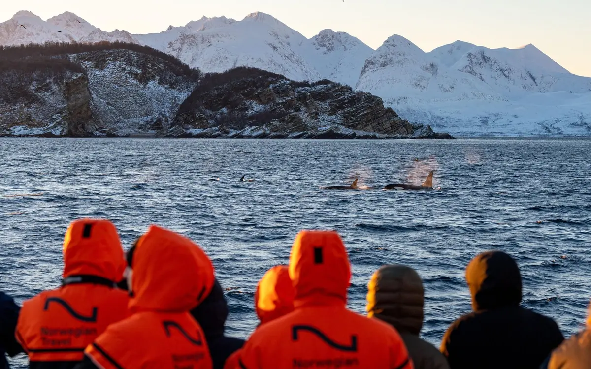 Passengers in flotation suits on a RIB near Tromso
